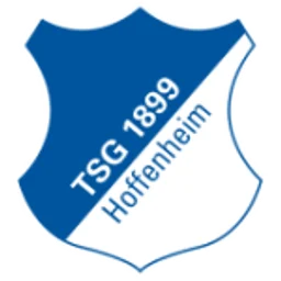 TSG Hoffenheim logo