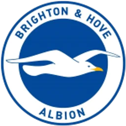 Brighton & Hove Albion logo